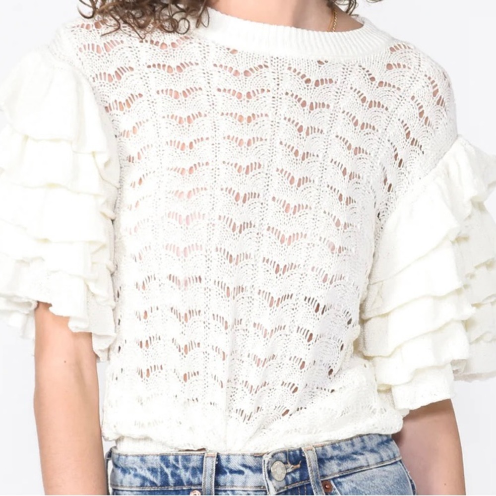 Greylin Ruffled Sleeve Knit Sweater